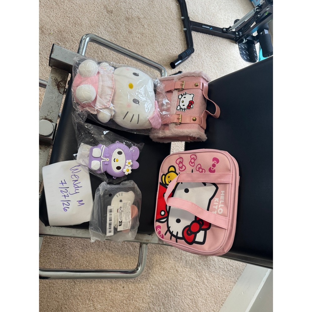 Sanrio Hello Kitty My Melody Bundle Plush Bag Case Silicone Cover Kawaii Lot